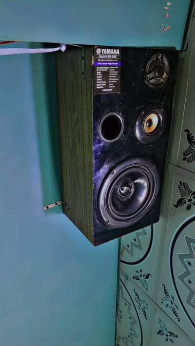 2 Speakers And Amplifier in mint condition