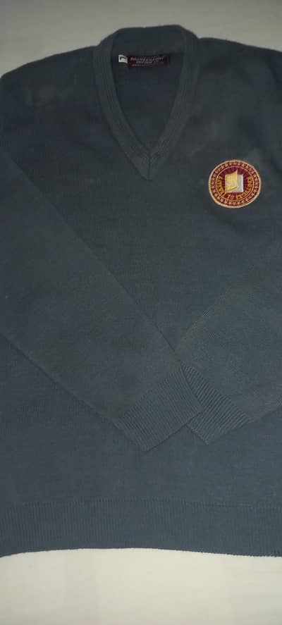 college And school boy sweaters