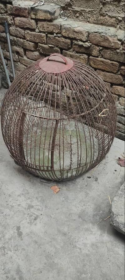 solid iron cage for birds
