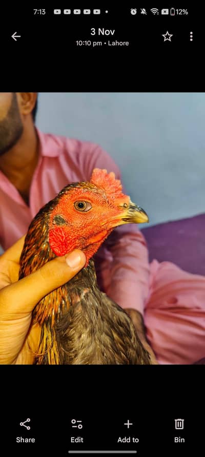 burmi/ viet/panus /pakoye/thai exchange offer available