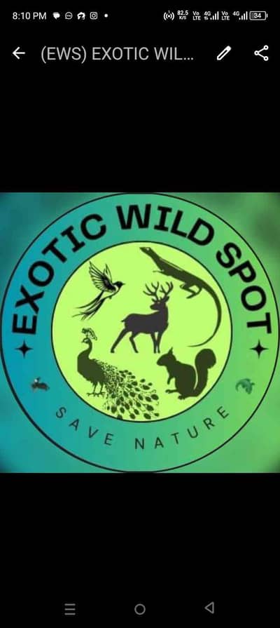 Exotic wild spot 