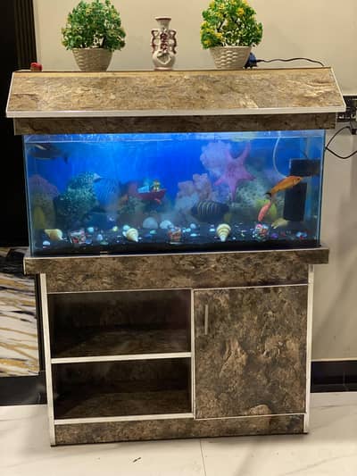 Wooden Stand Aquarium