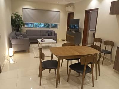 Furnished Apartment Available for Per Day Rent