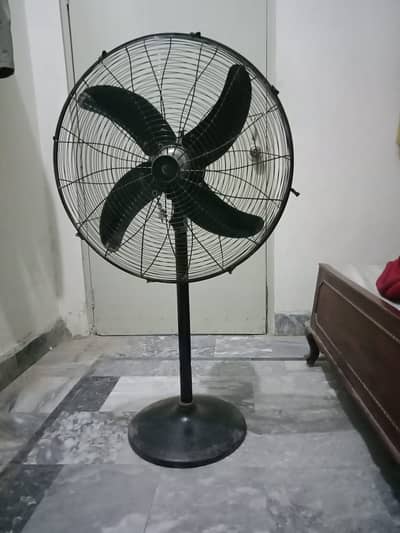 Pedestal Fan