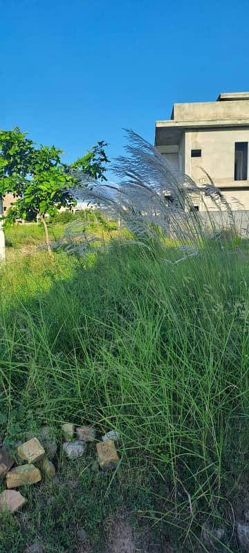 V Block 7 Marla for Sale