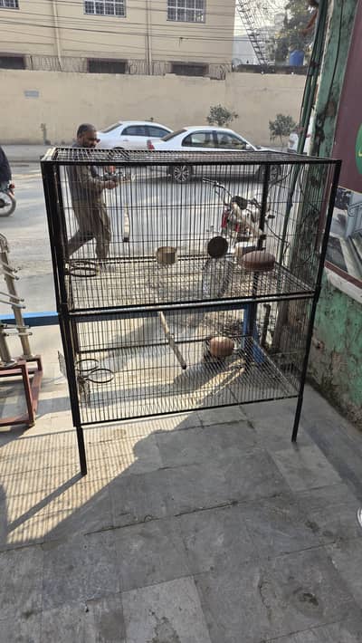 cages pinjra for birds