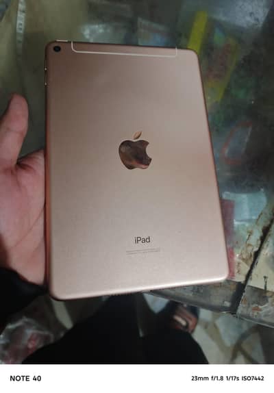 ipad mini 5