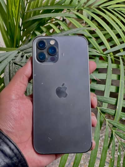 iPhone 12 Pro PTA
