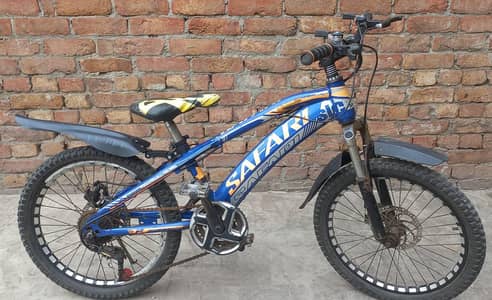 sports cycle 20 size