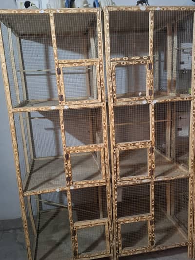 BIRDS CAGE