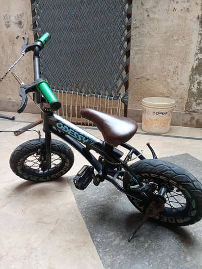 Age 3 to 6 year  important cycle