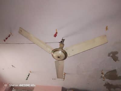 3 Ceiling fan