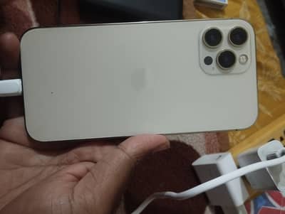 Apple iPhone 12 Pro Max