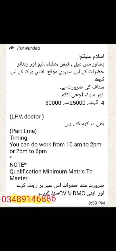 office work male and female required