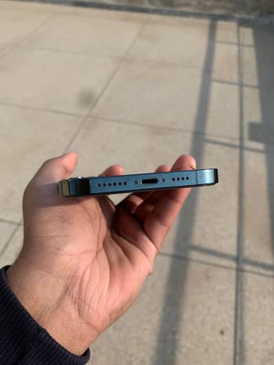 12 pro max dual sim approved