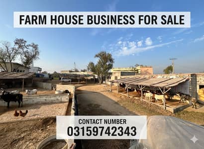 Running Farm house business for sale