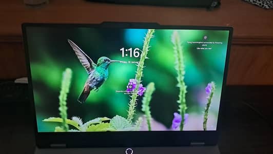 LENOVO LOQ 15 RTX 3050 6GB Full Power GPU