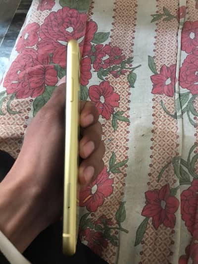 Number WhatsApp 0342-5035-022