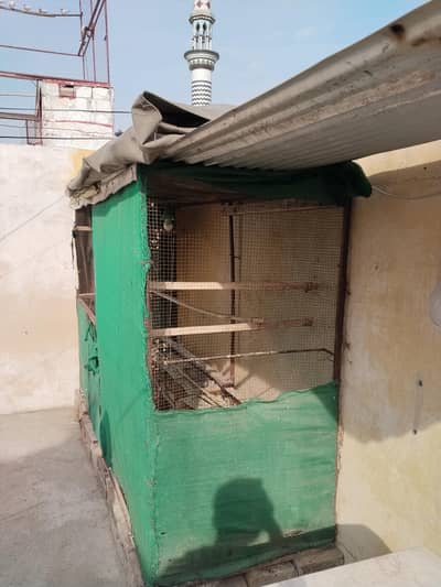 Cage AND Mattki for Sale