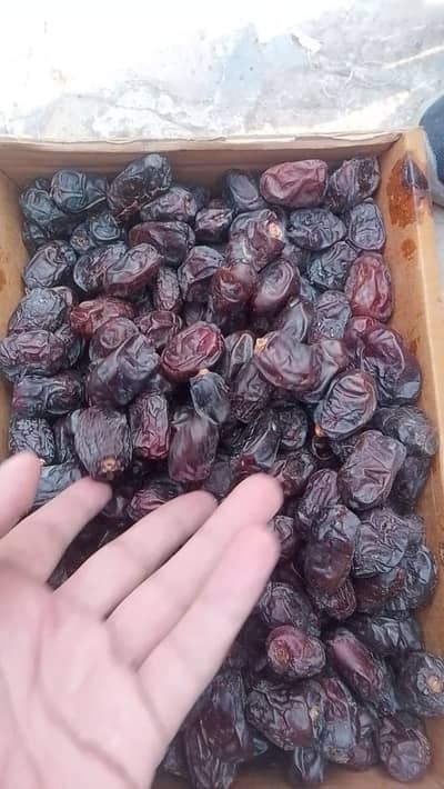 اعلیٰ معیار کی تازہ کھجوریں دستیاب ہیں (مناسب قیمت)