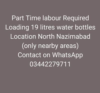 Labour and loader rickshaw driver