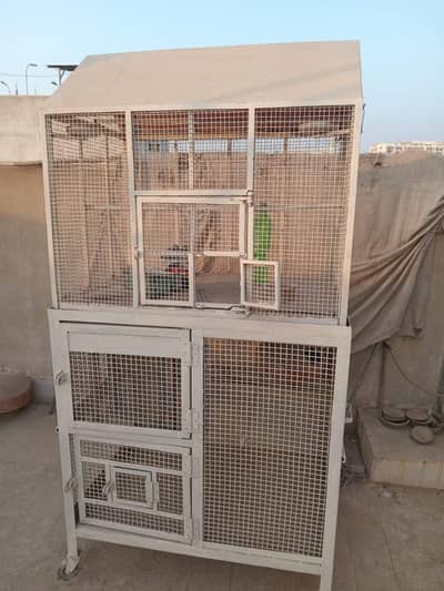 Cages Parrots /Hen