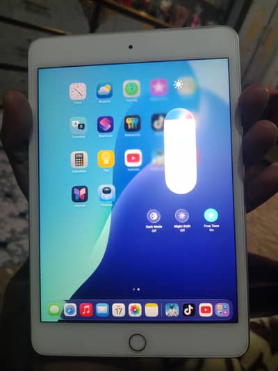ipad mini