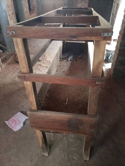 goat khurli bakra kikar khurli