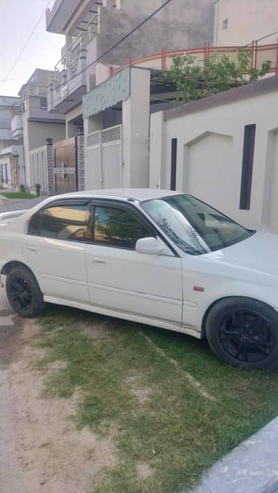 Gift for Hond Lovers