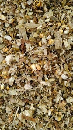Sailage /khaki Silage /Animal feed /cow feed ,03074517043