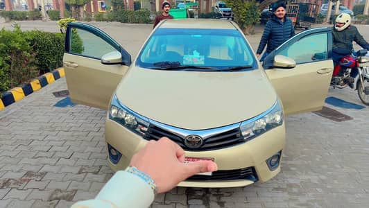 crolla 2016 model 17 registr