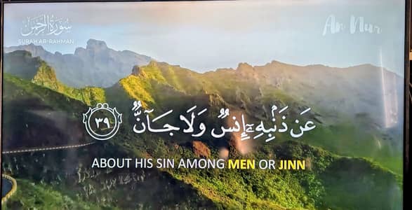 TCL 55 inch google tv