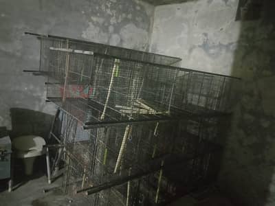 birds  cage