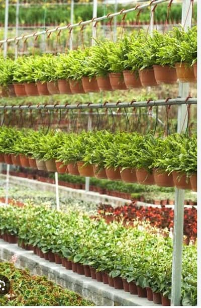 off page seo service monthly