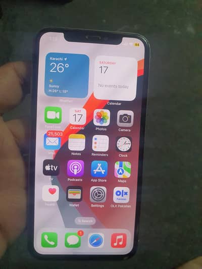 iphone X official approved