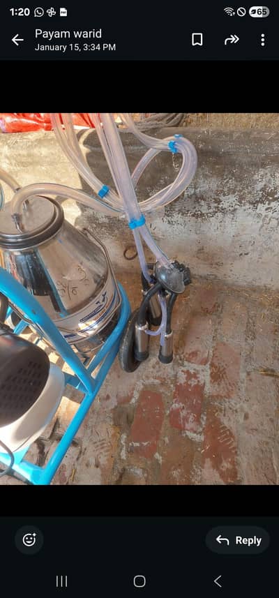 milking machine for sale