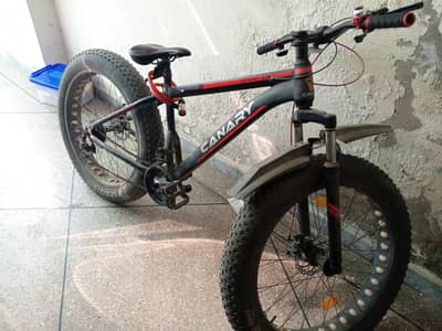 Canary Fat Mountain Bike – Smooth & Strong