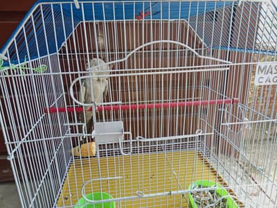 Cocktail and master cage