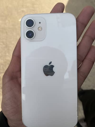 Iphone 12 pta approved