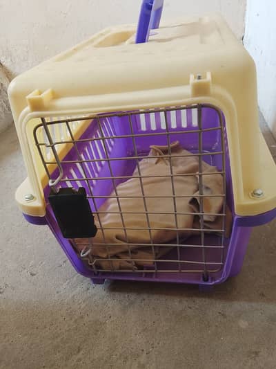 Cat cage