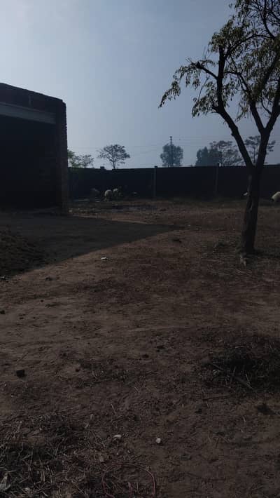 زمیداری ڈیرہ داری