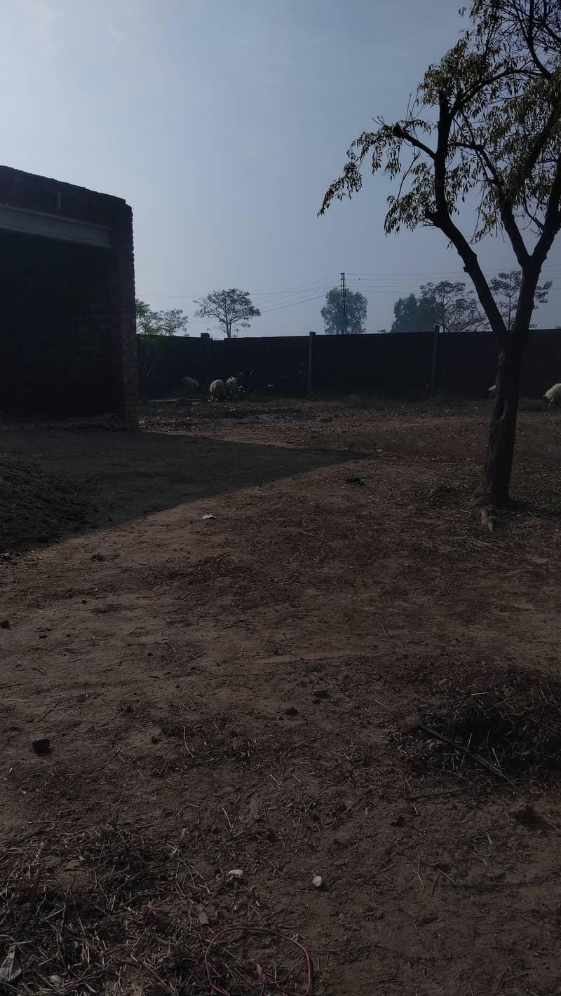 زمیداری ڈیرہ داری 0