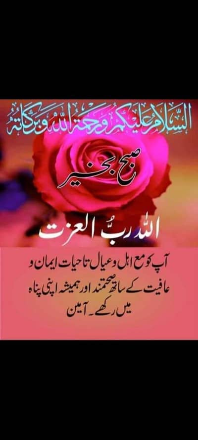 tecno camon 40 pro complete box