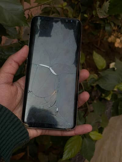 Samsung Galaxy S8 plus