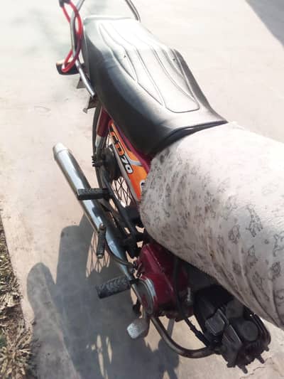 road Prince bike for rent