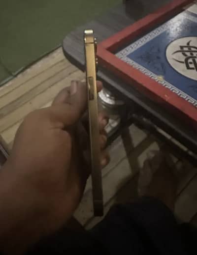 12 pro max hk approved