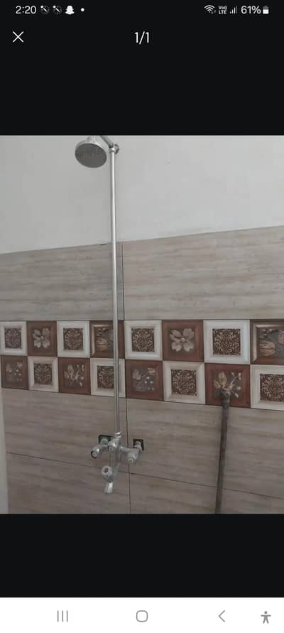 house , appartment for rent