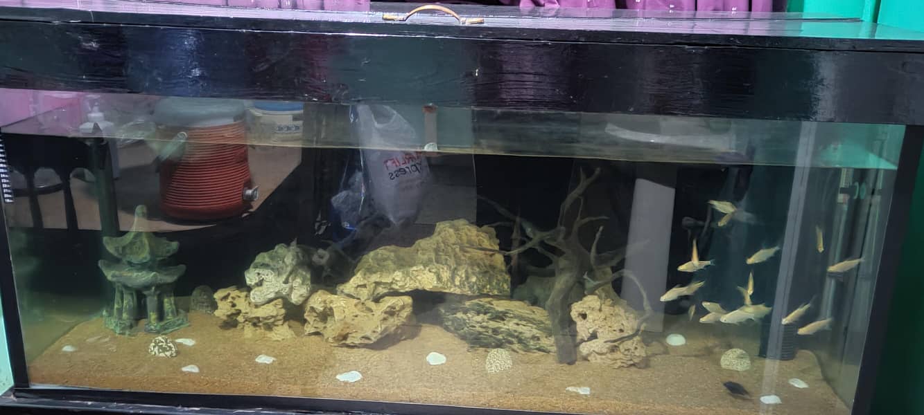 5ft Aquarium 0