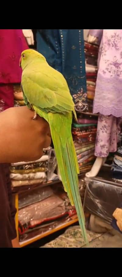 hand teand hai bhai bhot achi cheez hai