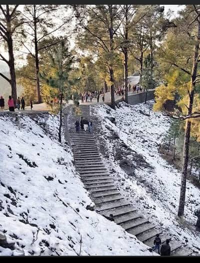 Kam ki zarort Hain 03180090910